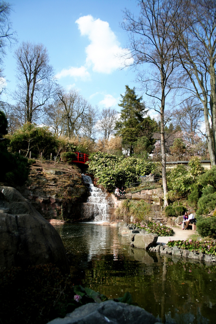 Kaiserslautern - Frühling im Japanischen Garten