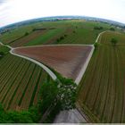 Kaisersteinblick - Weinort Sooss (08/2012)