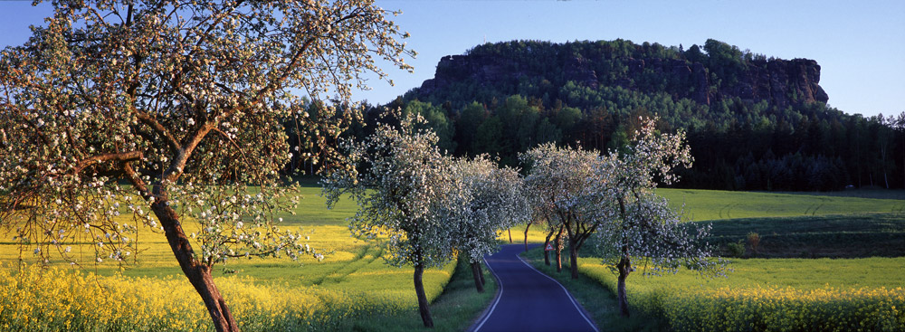 Kaiserstraße zum Lilienstein, Mai 2007