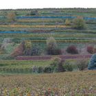 Kaiserstühle im Herbst