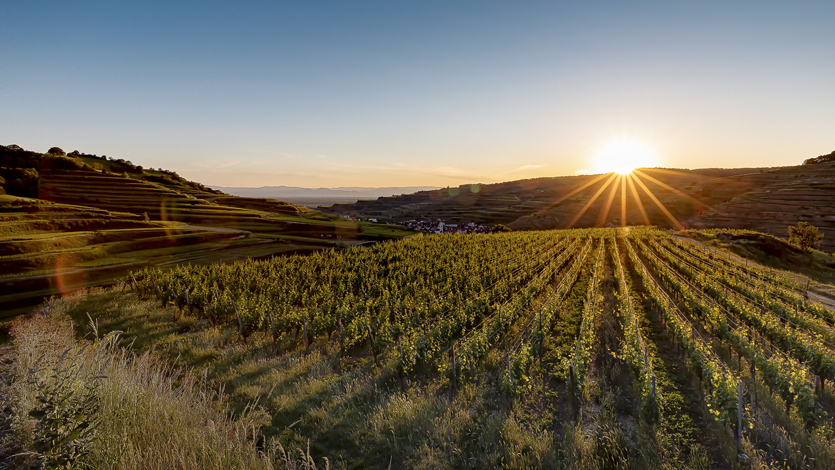 Kaiserstuhl (Badberg)