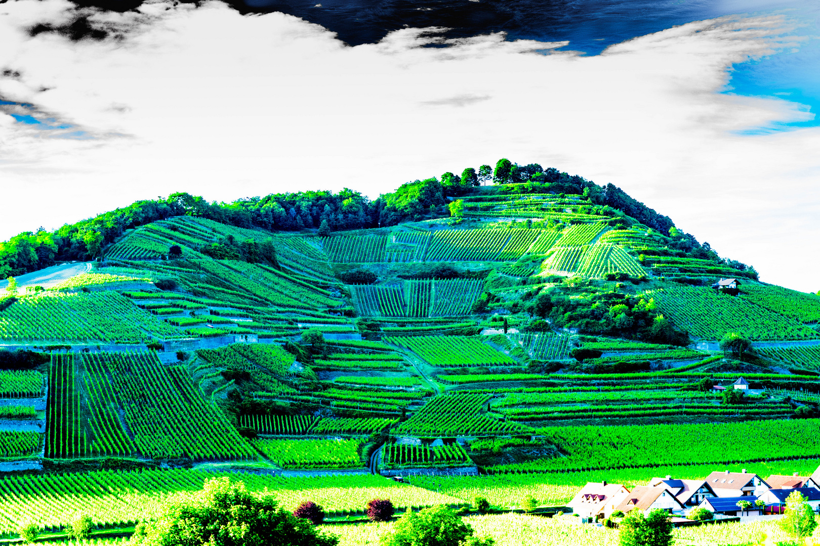 Kaiserstuhl Foto & Bild Bilder auf