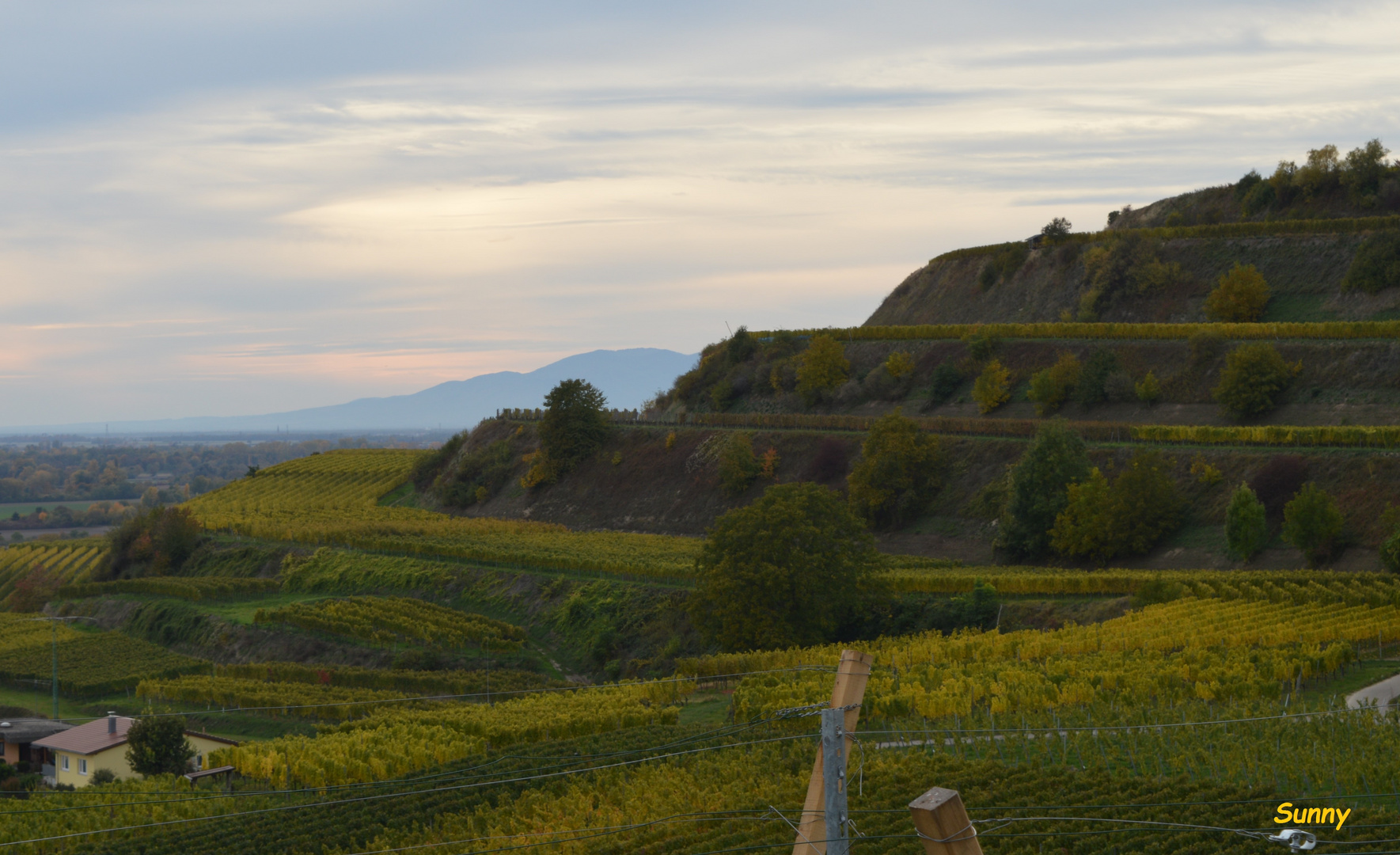 Kaiserstuhl