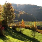 Kaiserstuhl im Herbst