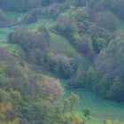 KAISERSTUHL LANDSCHAFT