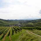 Kaiserstuhl Panorama