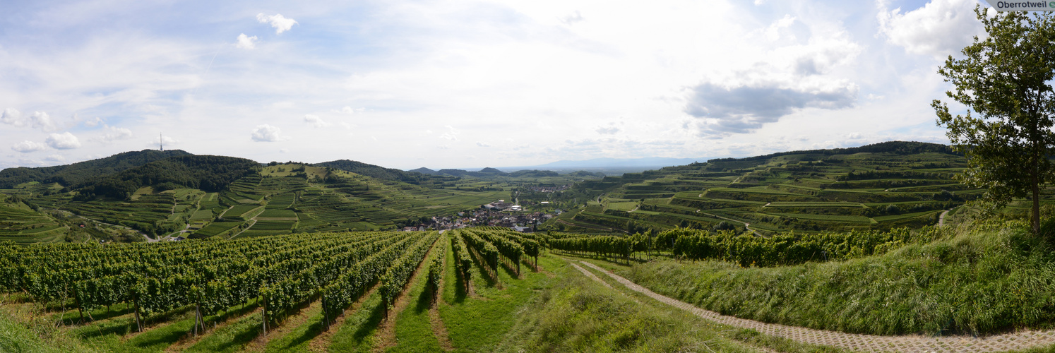 Kaiserstuhl Panorama