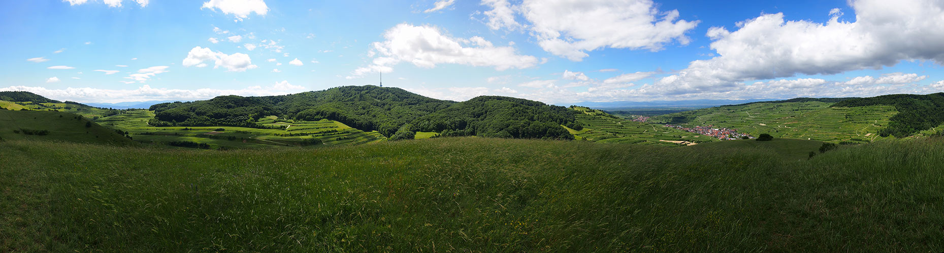 Kaiserstuhl-Panorama