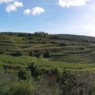 Kaiserstuhl Panoramablick