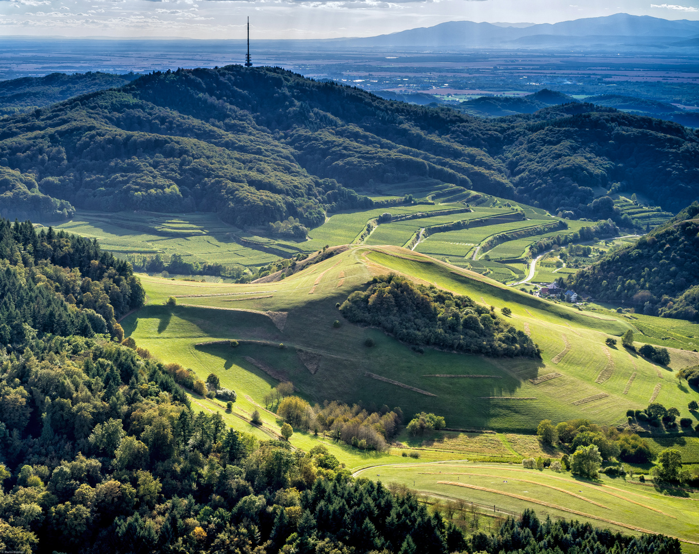 Kaiserstuhl Rebland