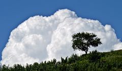 Kaiserstuhl - Wetter 07.07.2012