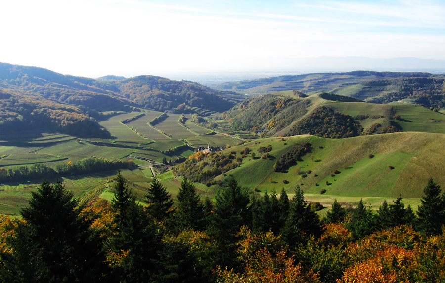 Kaiserstuhlblick