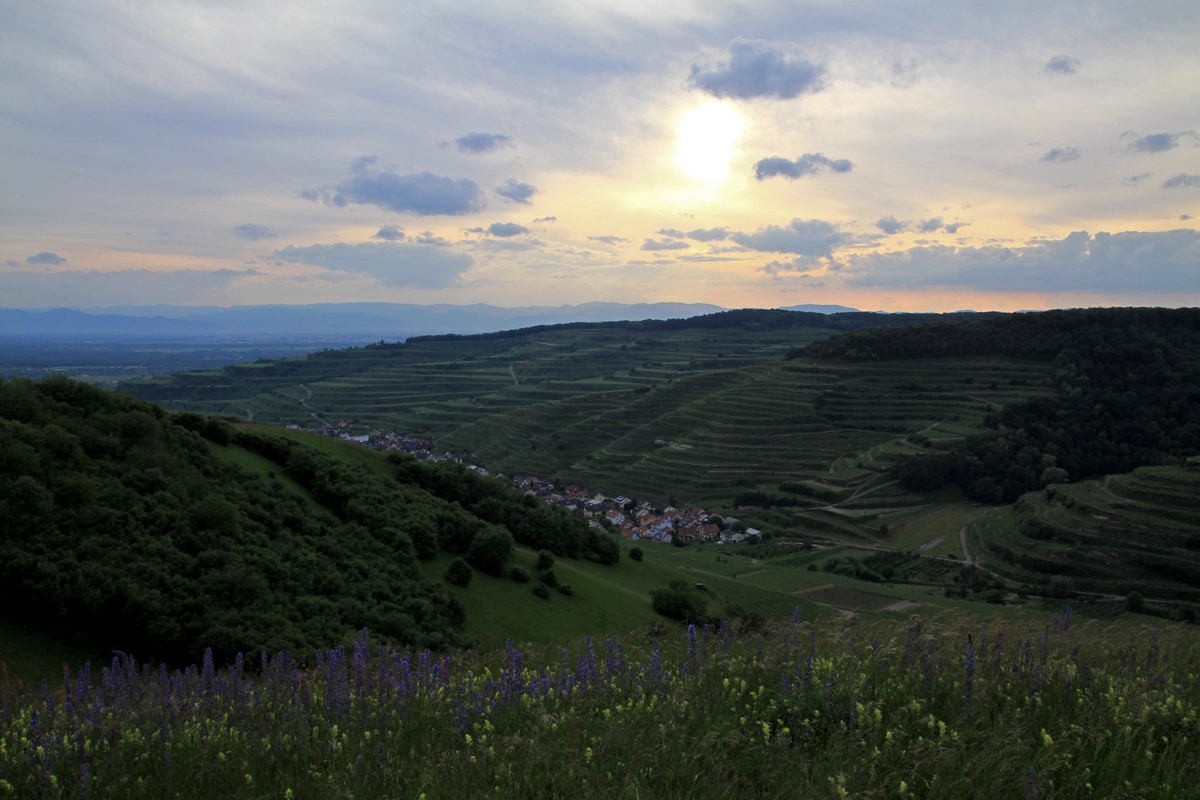 Kaiserstuhltage 2015 #3