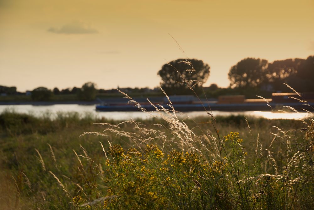 Kaiserswerth am Rhein