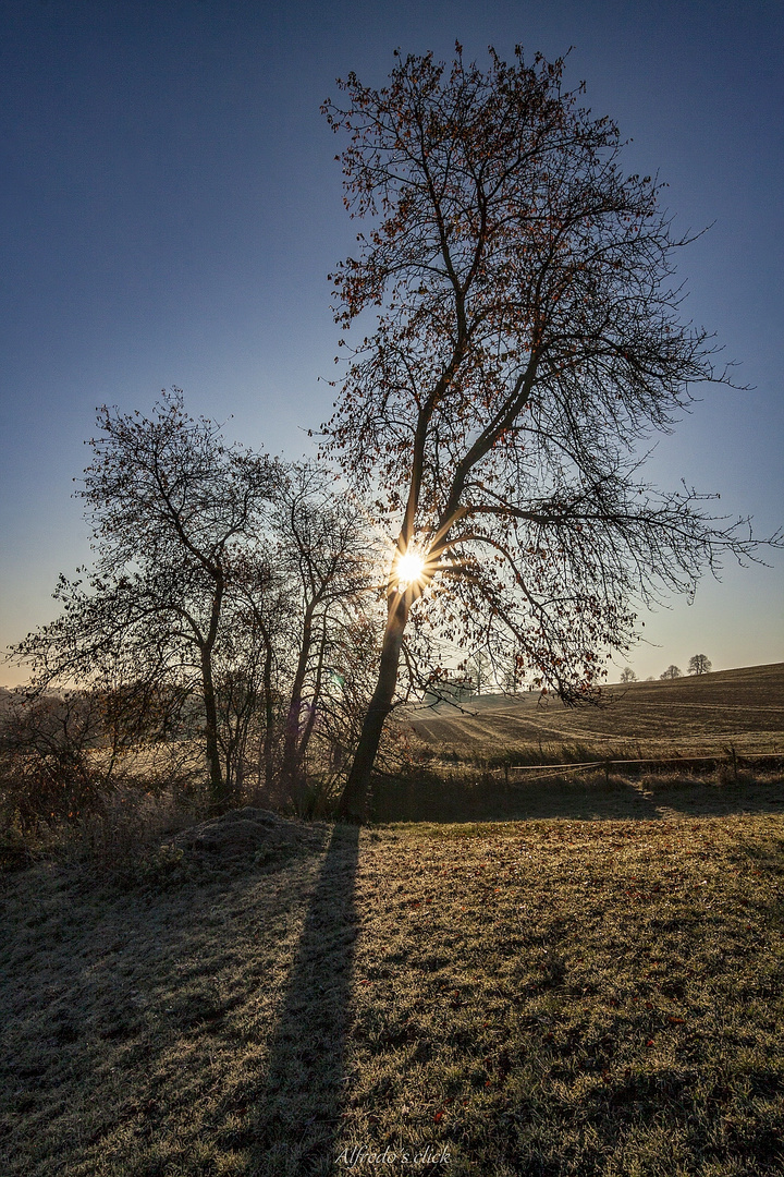 Kaiserwetter*