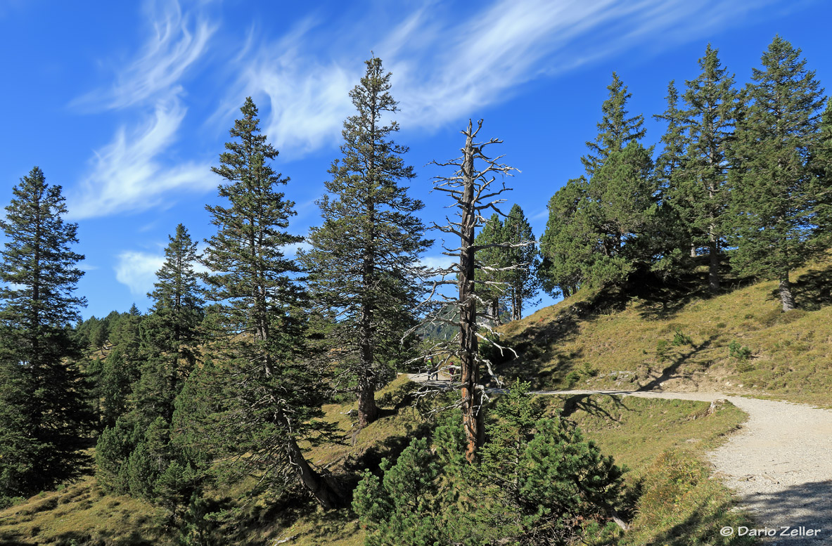 Kaiserwetter