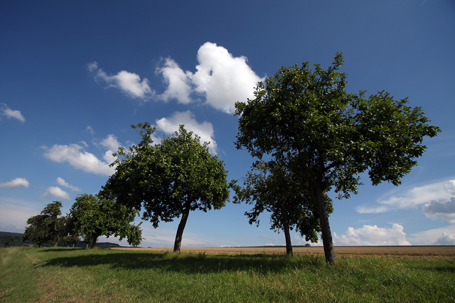 Kaiserwetter