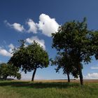 Kaiserwetter