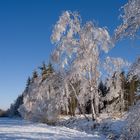 Kaiserwetter