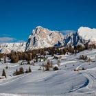 Kaiserwetter auf der Seiser Alm