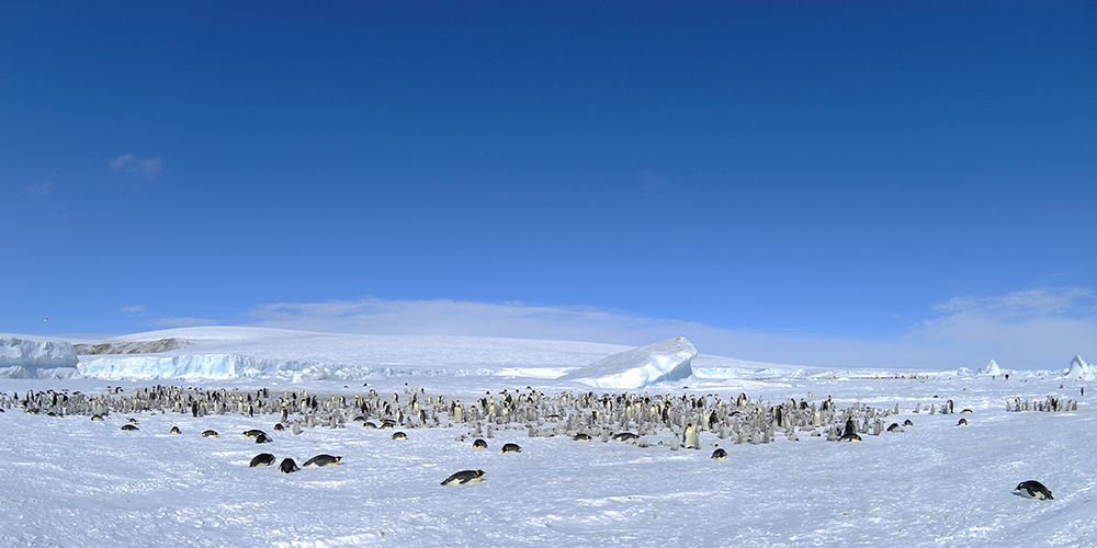 Kaiserwetter auf Snow Hill Island...