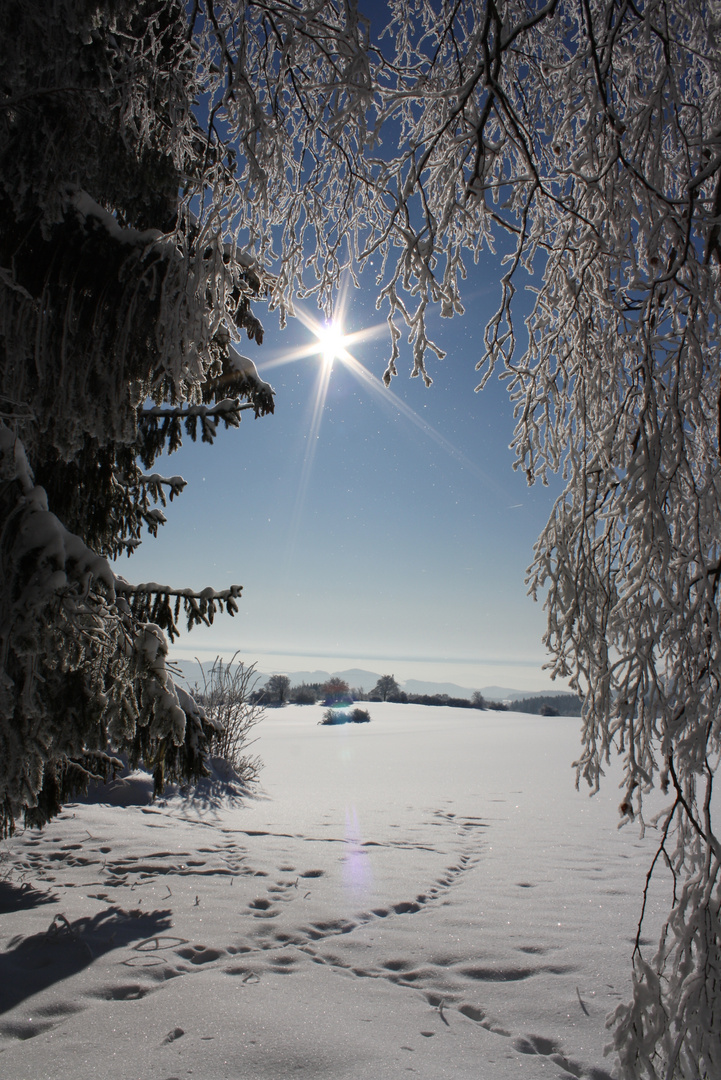 Kaiserwetter