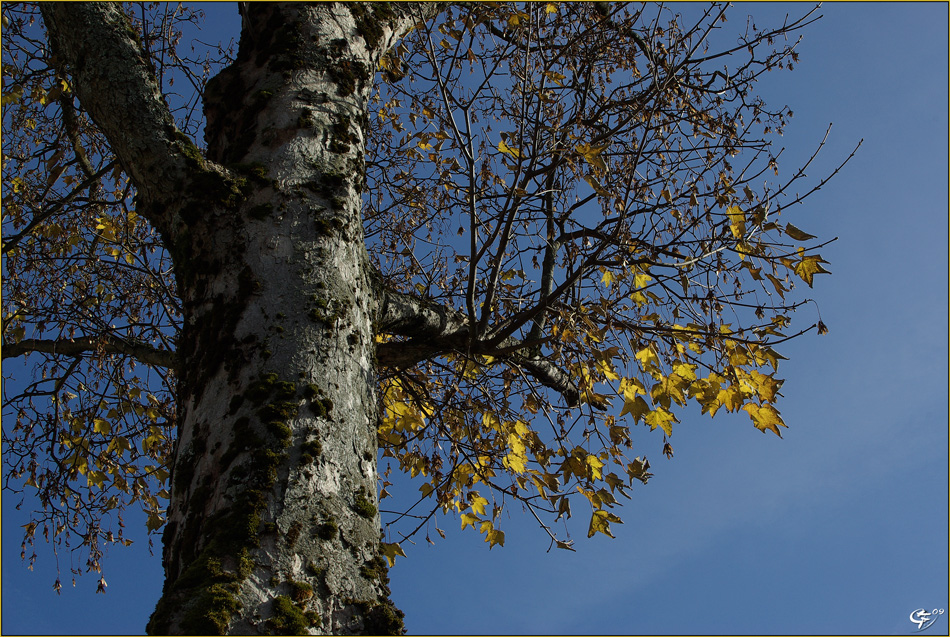 Kaiserwetter