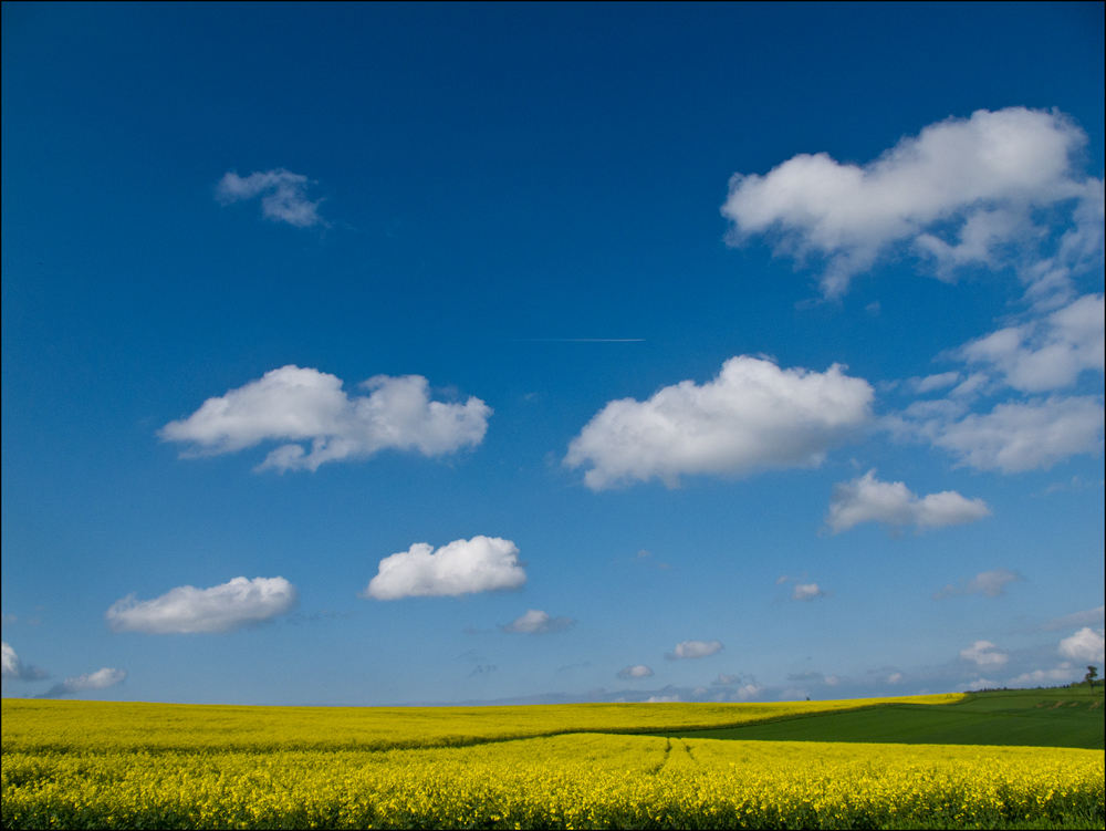 Kaiserwetter