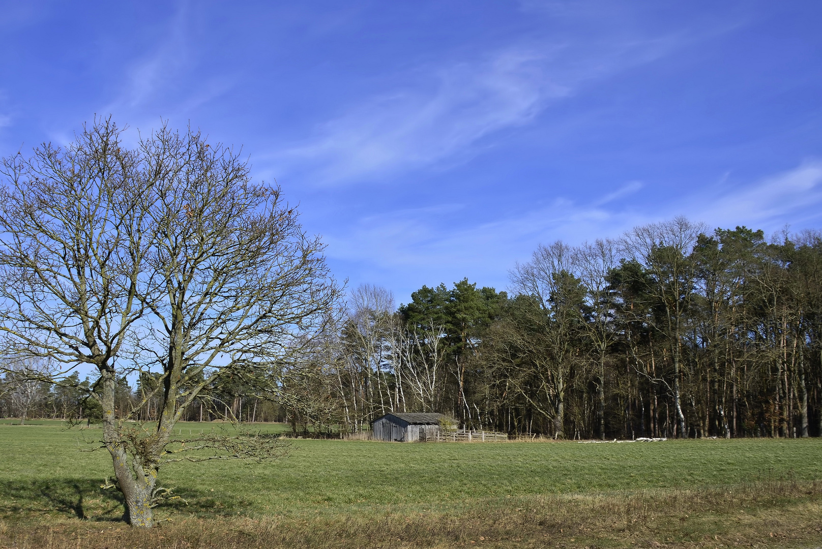 °Kaiserwetter im Februar°