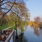 Kaiserwetter in Alsterdorf