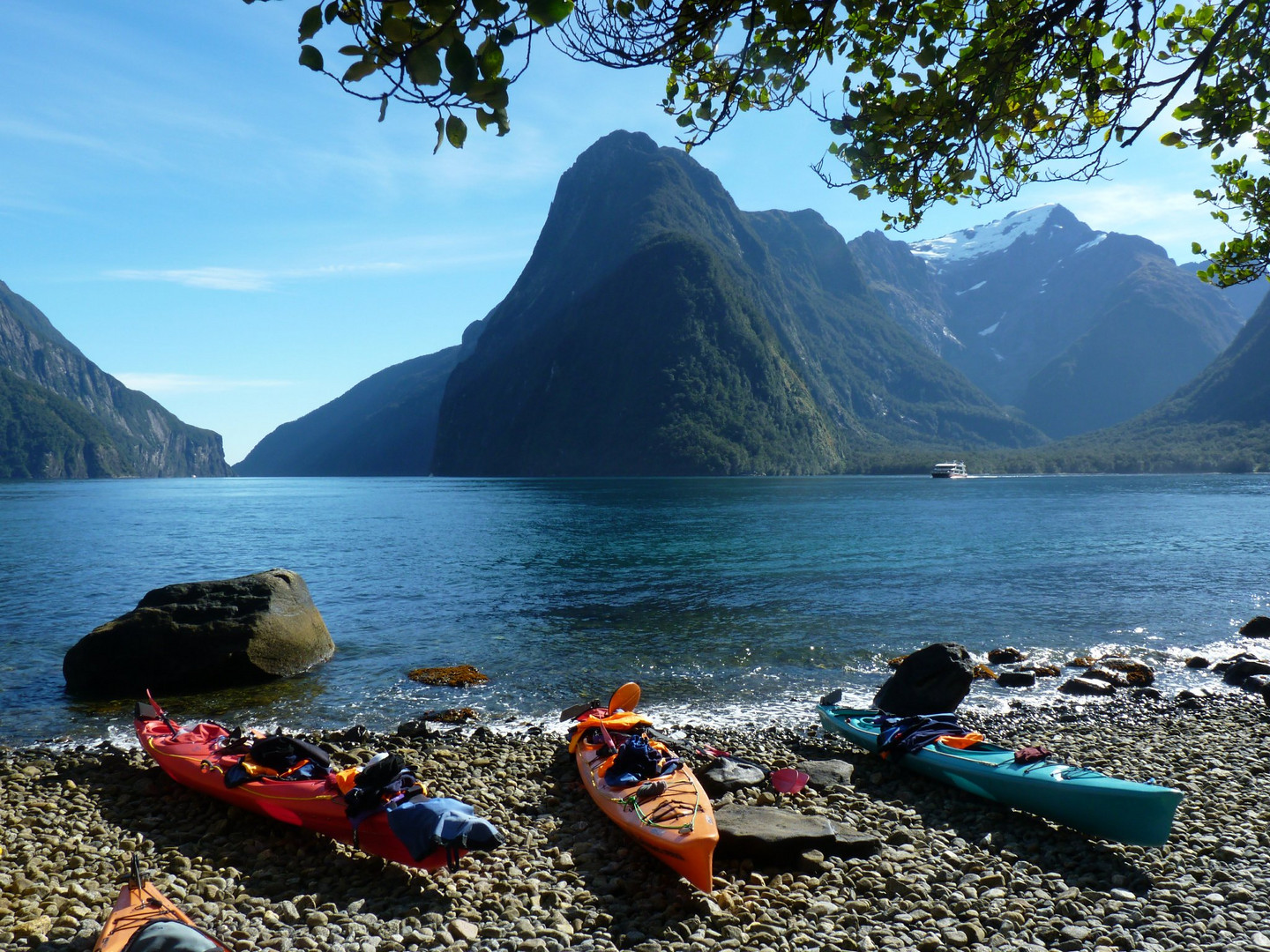 Kajak in Neuseeland