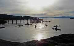 Kajak Kurs für Erwachsene am Trondheimfjord