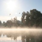 Kajaktour im Frühnebel auf der Müggelspree 2