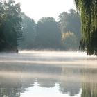 Kajaktour im Frühnebel auf der Müggelspree 3