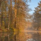 Kajaktour im Spreewald 