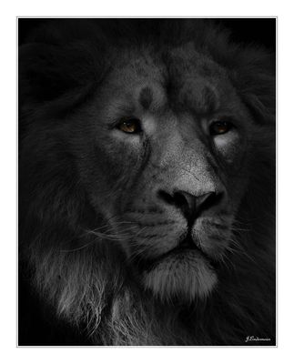 Kajal oder Shapur .....