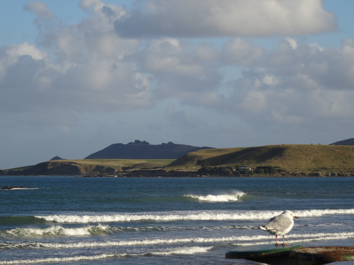 Kaka Point, Otago Neuseeland