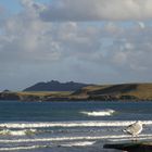 Kaka Point, Otago Neuseeland