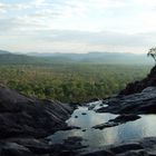 Kakadu Dream