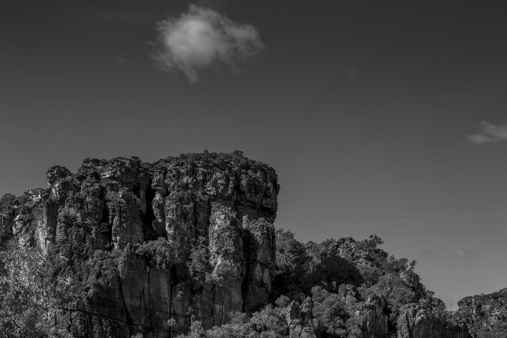 Kakadu