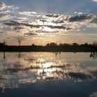 Kakadu National Park- Abendstimmung