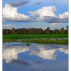 Kakadu Nationalpark - Australien