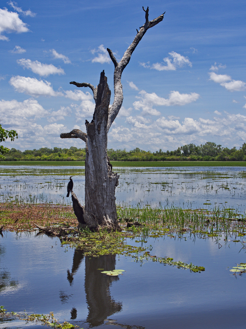 Kakadu NP