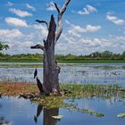 Kakadu NP