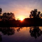 Kakadu Sunrise