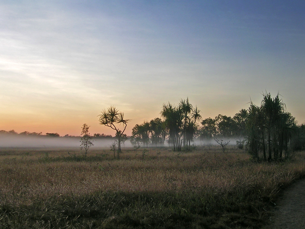 Kakadu´s fog