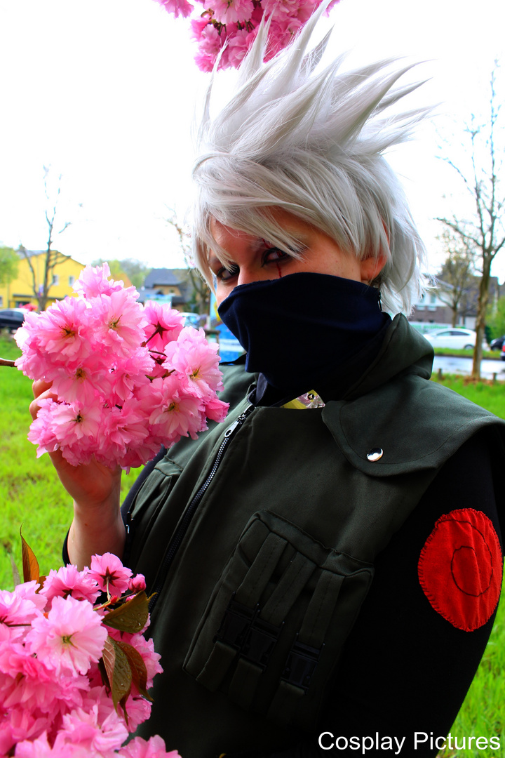 Kakashi Hanami Berlin Teltow