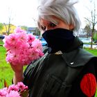 Kakashi Hanami Berlin Teltow