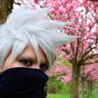 Kakashi Hanami