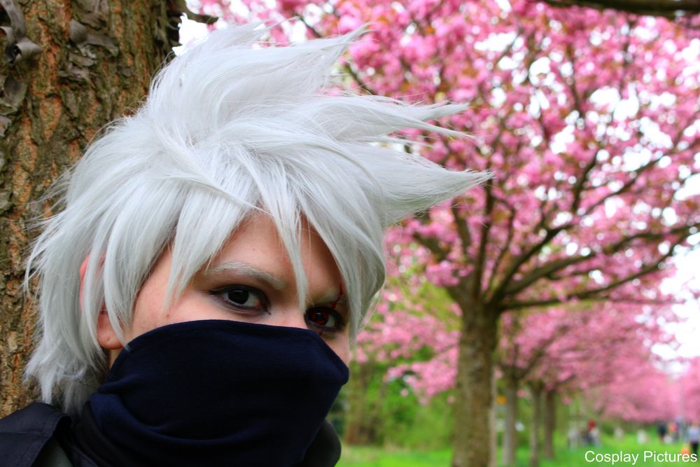 Kakashi Hanami